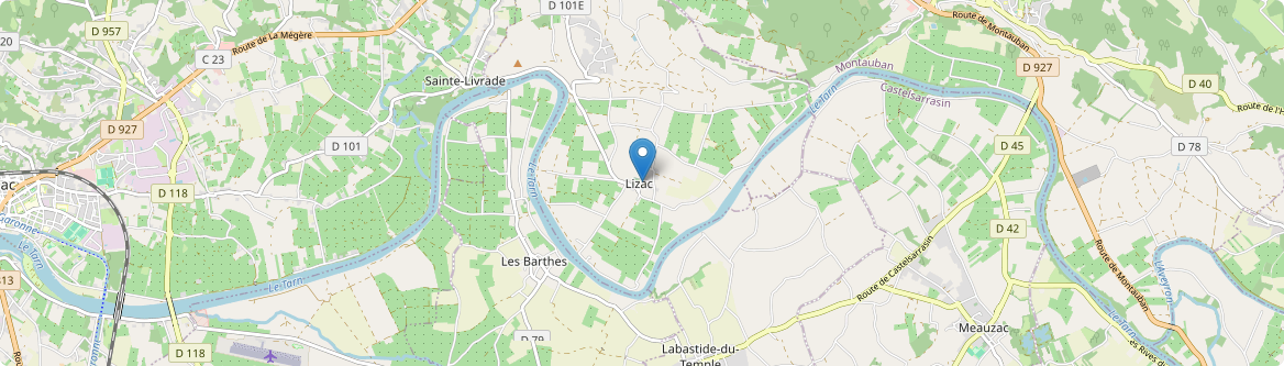Lizac - Carte