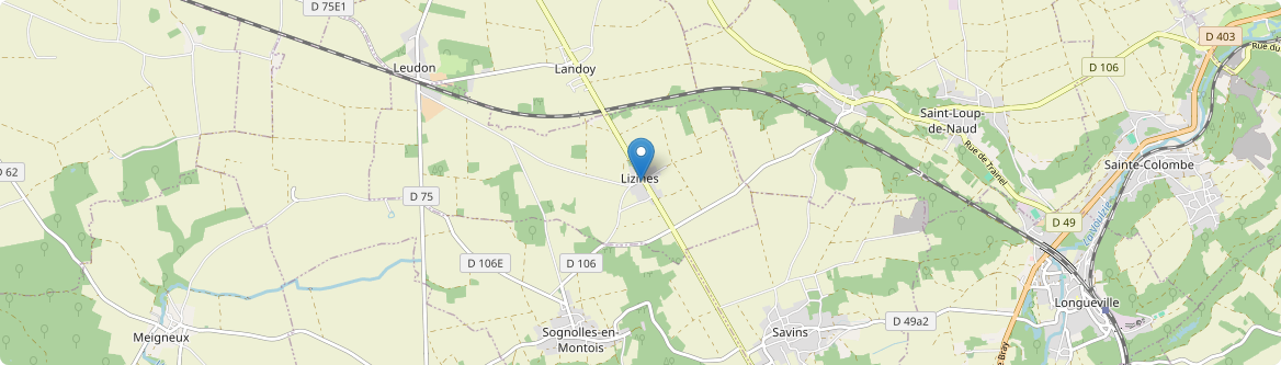 Lizines - Carte