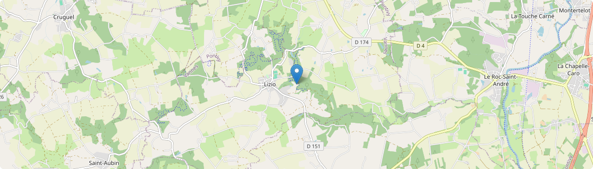 Lizio - Carte