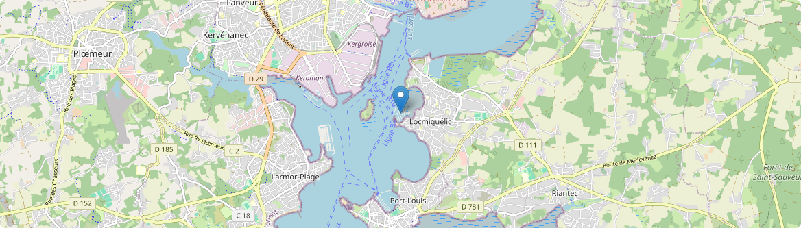 Locmiquélic - Carte