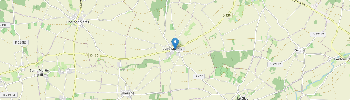 Loiré-sur-Nie - Carte