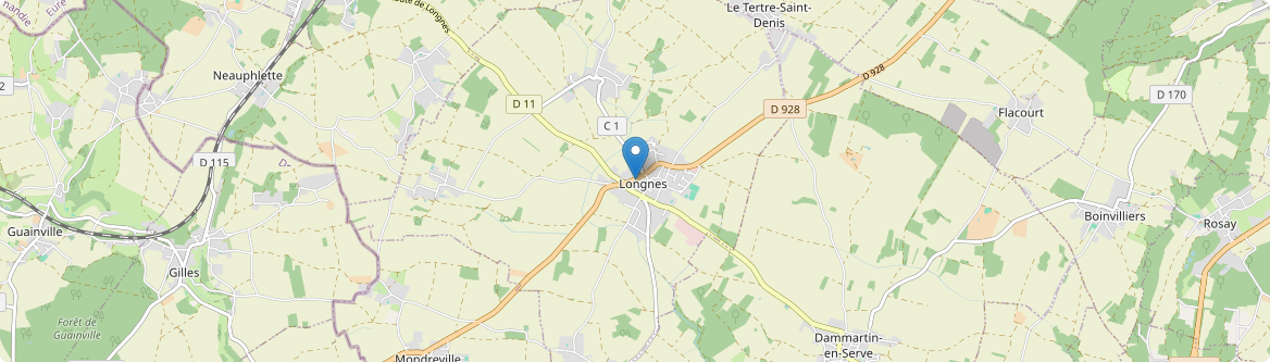 Longnes - Carte