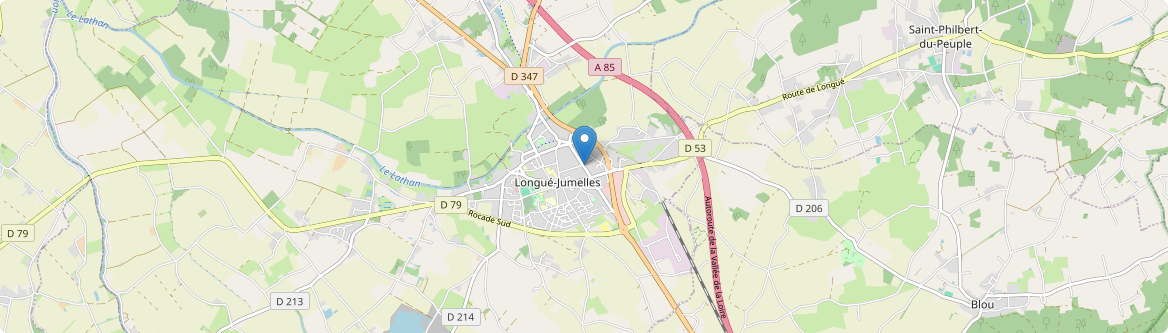 Longué-Jumelles - Carte