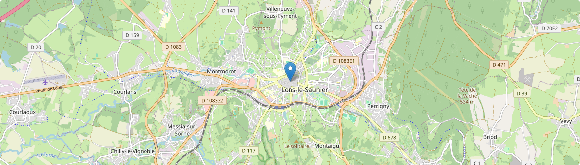 Lons-le-Saunier - Carte
