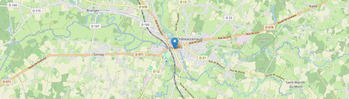 Louhans - Carte
