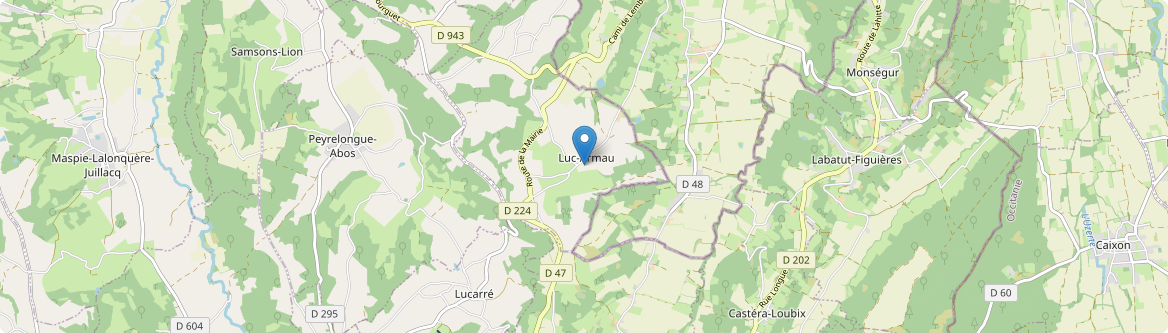 Luc-Armau - Carte