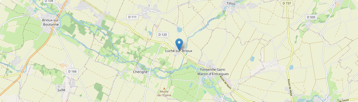 Luché-sur-Brioux - Carte