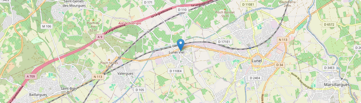 Lunel-Viel - Carte
