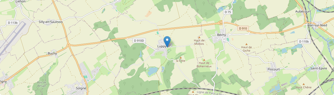 Luppy - Carte