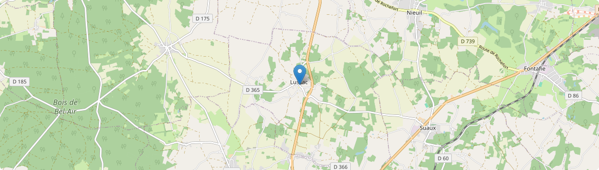 Lussac - Carte