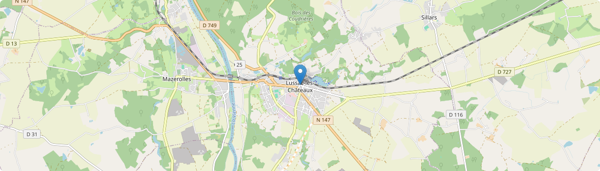 Lussac-les-Châteaux - Carte
