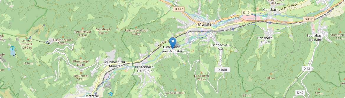 Luttenbach-près-Munster - Carte