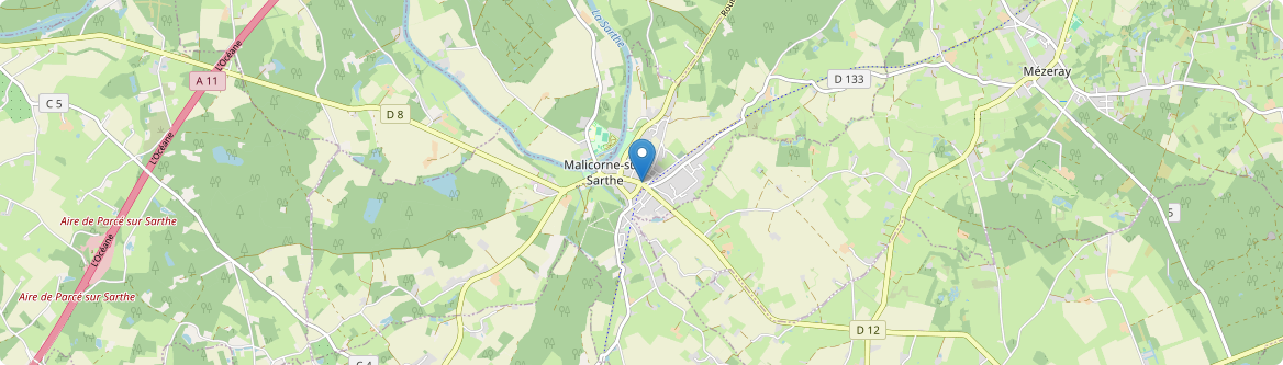 Malicorne-sur-Sarthe - Carte