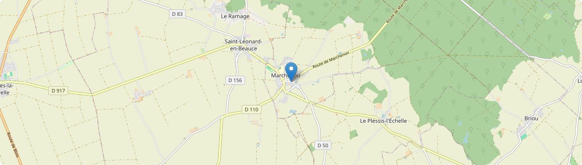 Marchenoir - Carte