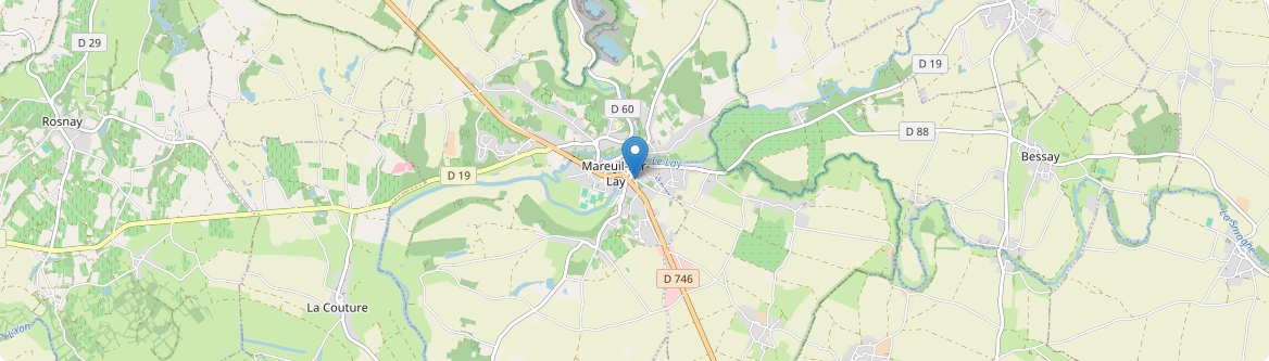 Mareuil-sur-Lay-Dissais - Carte