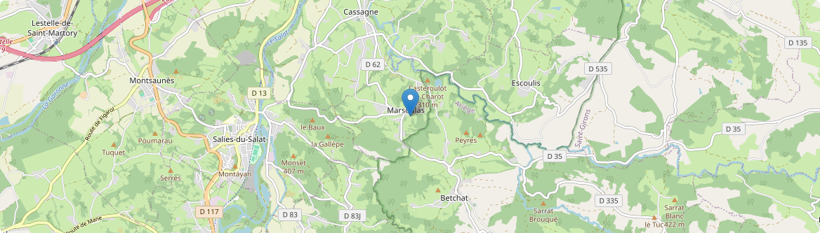Marsoulas - Carte