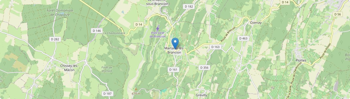 Martailly-lès-Brancion - Carte