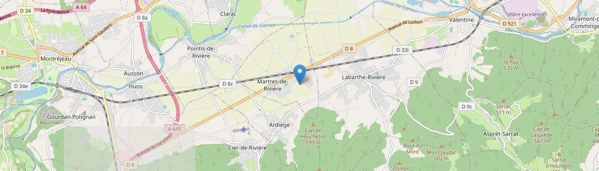 Martres-de-Rivière - Carte