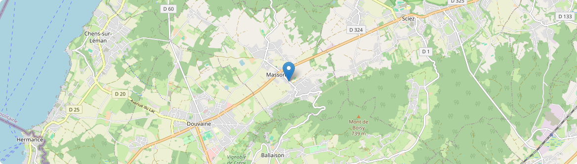 Massongy - Carte