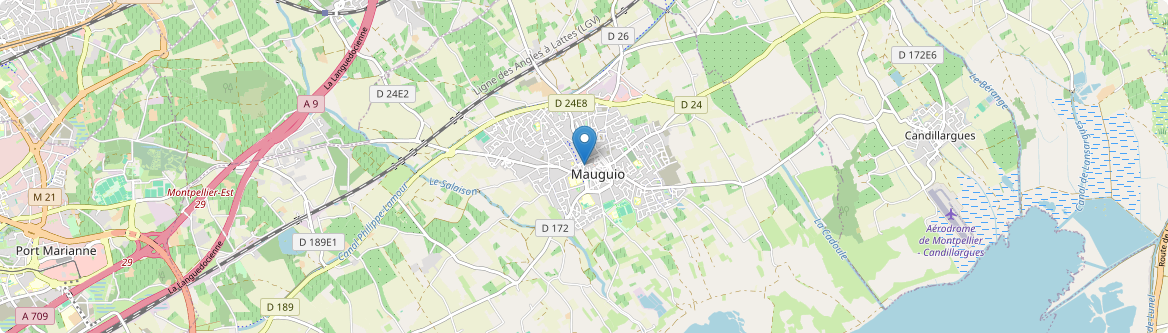 Mauguio - Carte