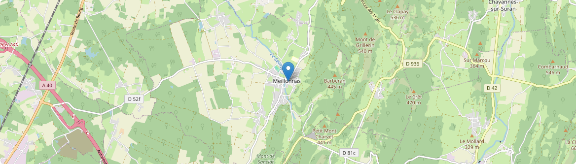 Meillonnas - Carte