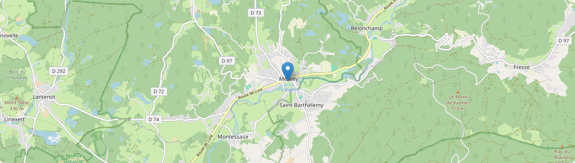Mélisey - Carte