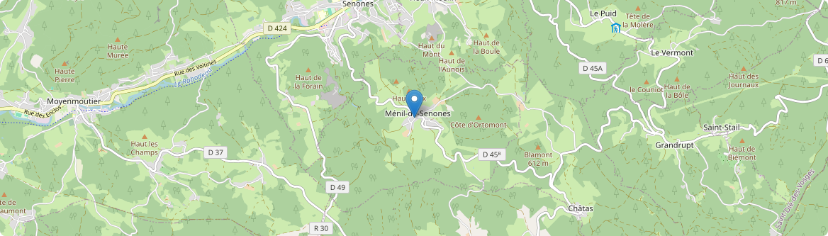 Ménil-de-Senones - Carte