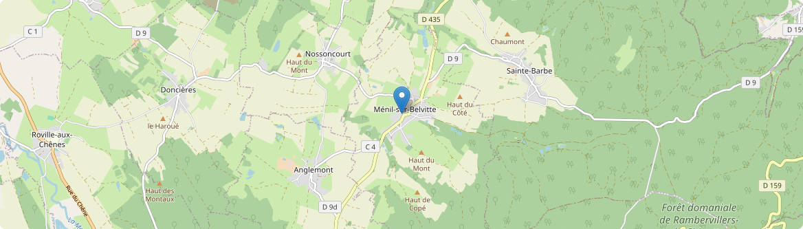 Ménil-sur-Belvitte - Carte