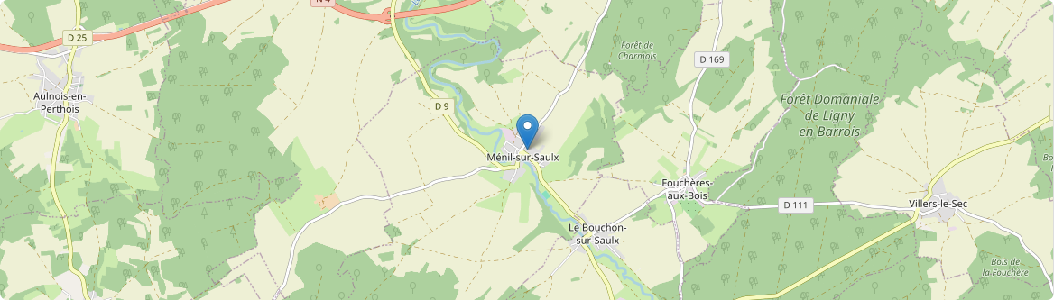 Ménil-sur-Saulx - Carte