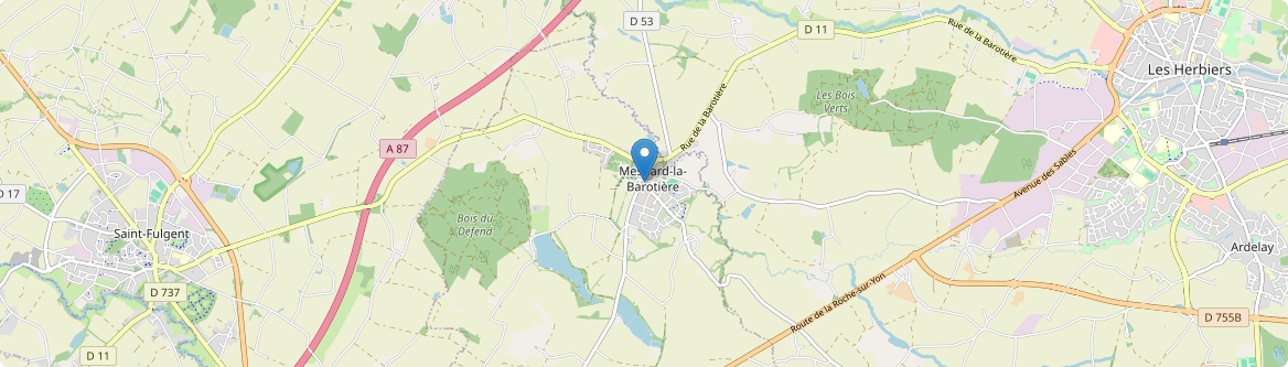 Mesnard-la-Barotière - Carte
