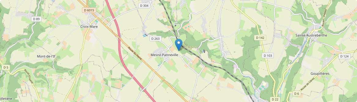Mesnil-Panneville - Carte