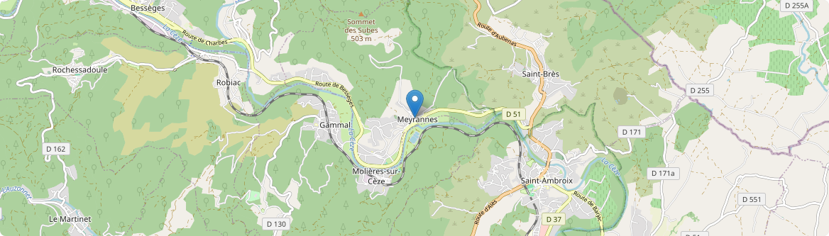 Meyrannes - Carte