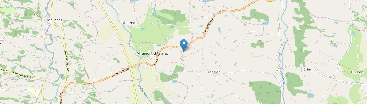 Miramont-d'Astarac - Carte