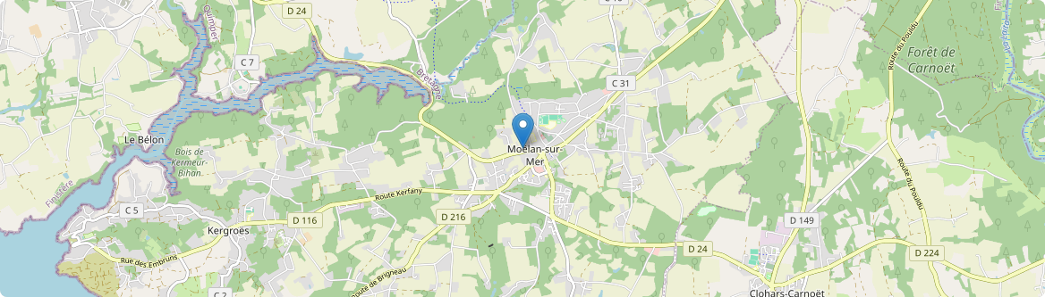 Moëlan-sur-Mer - Carte