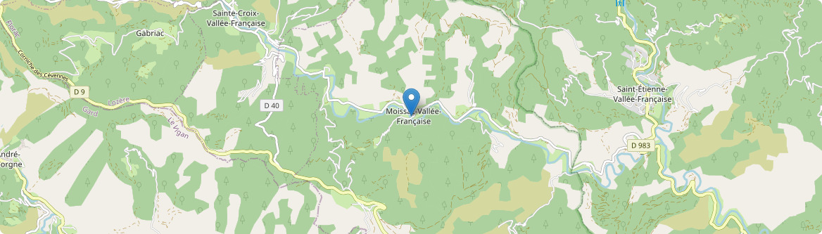 Moissac-Vallée-Française - Carte