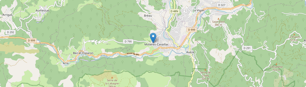 Molières-Cavaillac - Carte