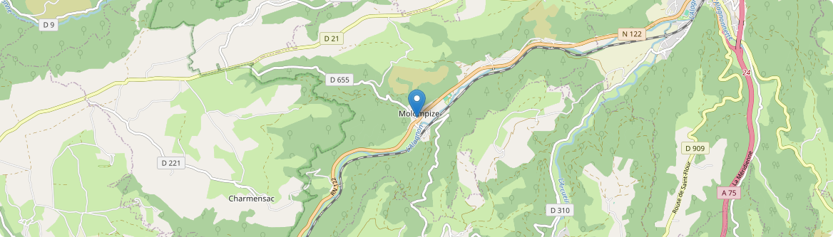 Molompize - Carte