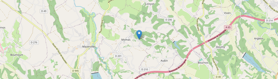 Momas - Carte
