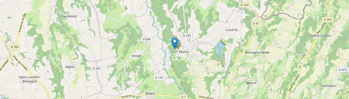 Momy - Carte