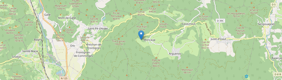 Moncaup - Carte
