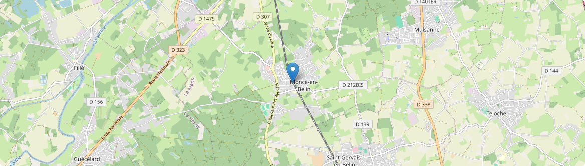 Moncé-en-Belin - Carte