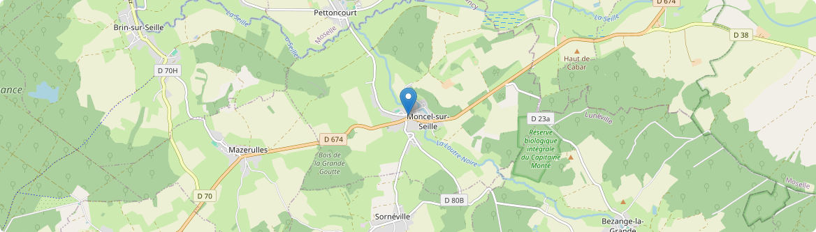 Moncel-sur-Seille - Carte