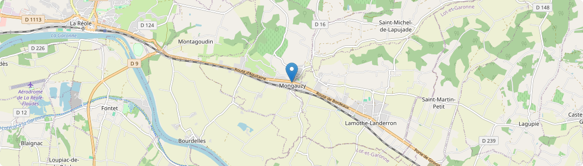 Mongauzy - Carte