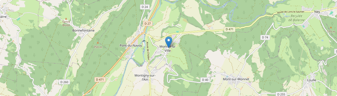 Monnet-la-Ville - Carte