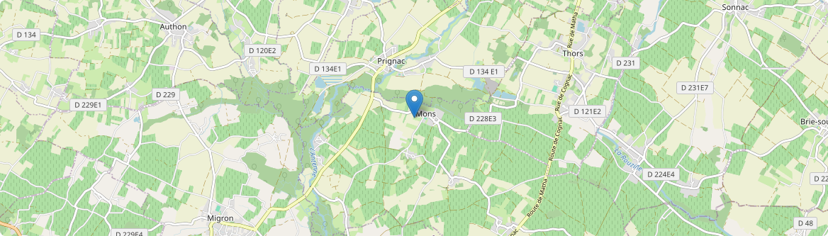 Mons - Carte