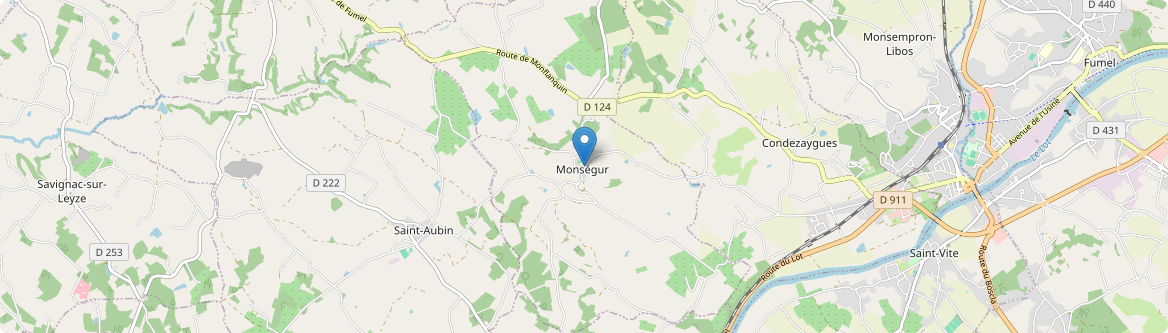 Monségur - Carte