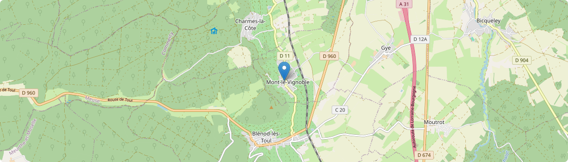 Mont-le-Vignoble - Carte