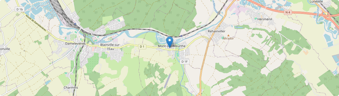 Mont-sur-Meurthe - Carte