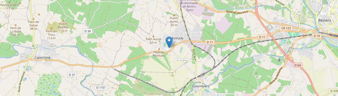 Montady - Carte