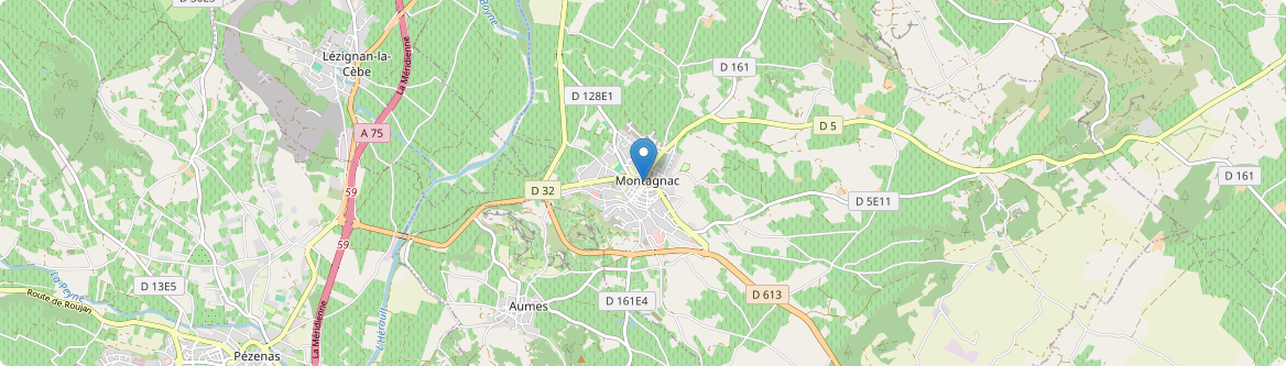 Montagnac - Carte